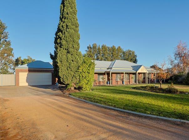 19 Stockmans Drive, Irymple, Vic 3498