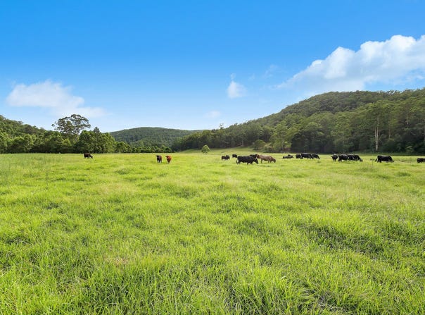 228 Brush Creek Road, Cedar Brush Creek, NSW 2259