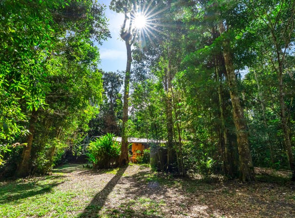 436 Oak Forest Road, Kuranda, Qld 4881