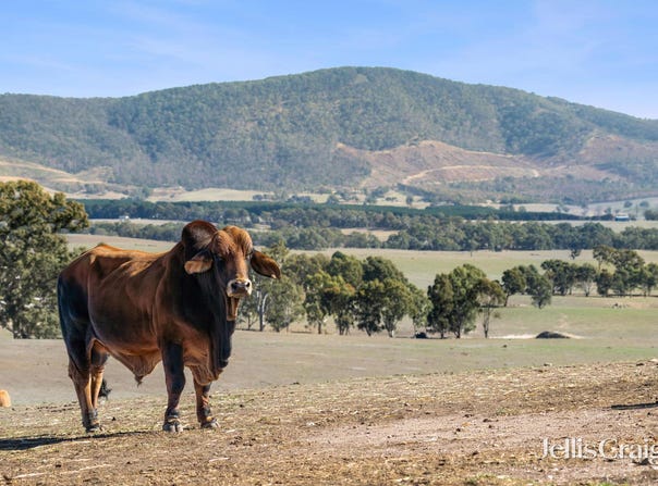 Lot 8 Ben Major Track, Mount Lonarch, Vic 3468