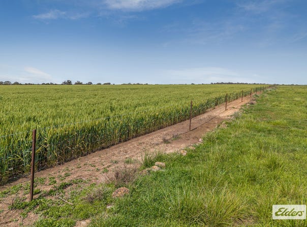 Baringhup Road, Baringhup, Vic 3463