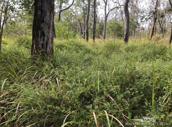 Lot 154 / 764 Hodzic Road, Biboohra, Qld 4880