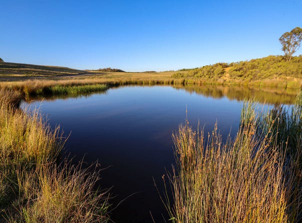 228 Spa Road, Windellama, NSW 2580
