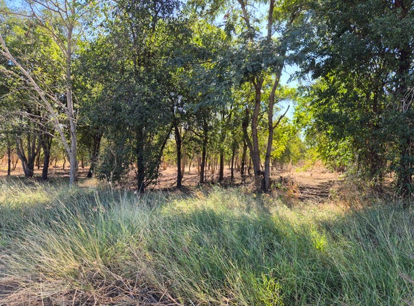 254 Oolrui, Kununurra, WA 6743