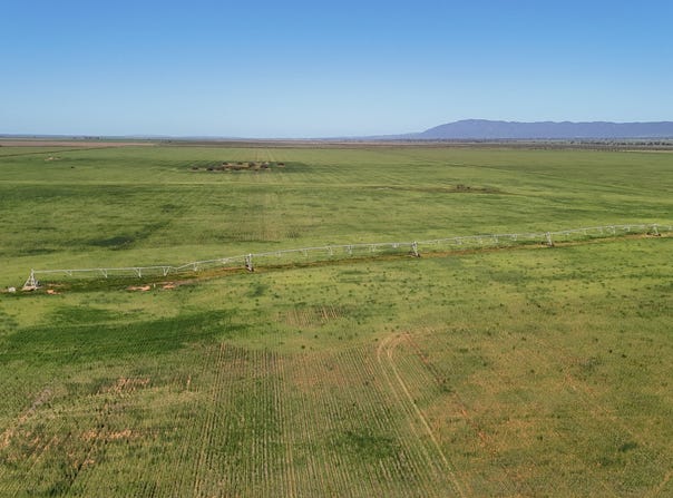 'Willochra' Willochra Road, Wilmington, SA 5485
