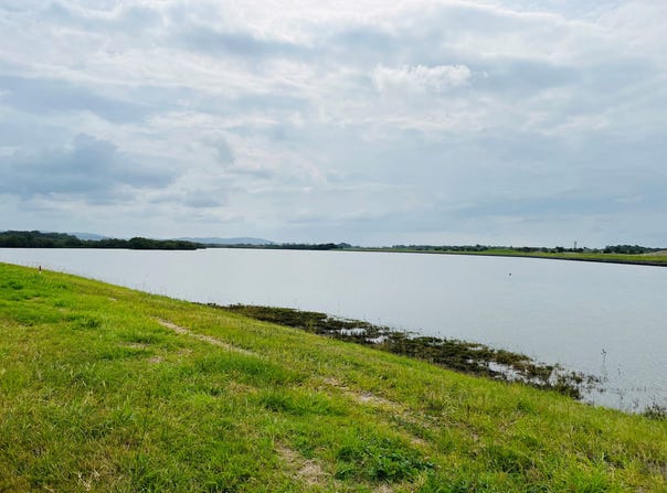 Lot 649, Island Terrace, Jacobs Well, Qld 4208