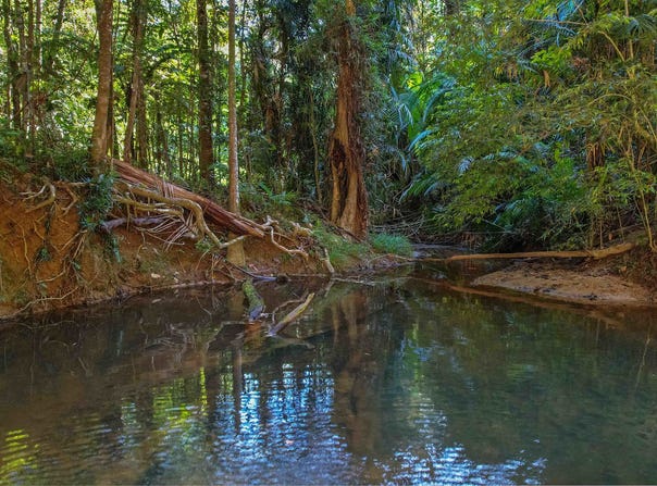 1 Saddle Mountain Road, Kuranda, Qld 4881
