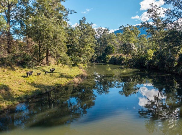 125 Jasper Creek Road, Mount Seaview, NSW 2446
