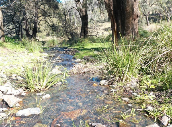 1022 Danglemah Road, Limbri, NSW 2352