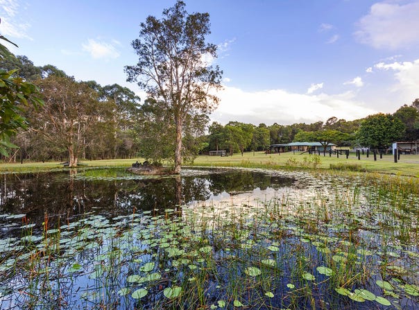 138 Callistemon Court, Cootharaba, Qld 4565