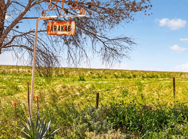 752 Greenways Road, Nildottie, SA 5238