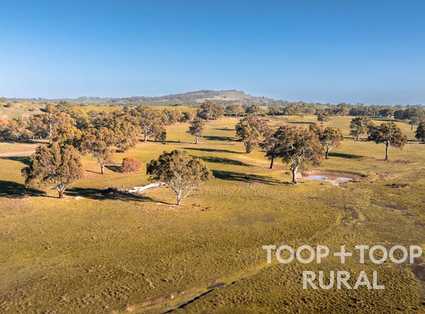 232 Brownes Road, Pewsey Vale, SA 5351