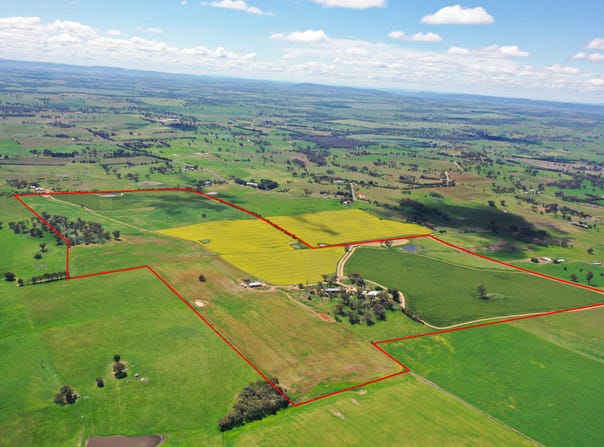 433 Maimuru SS Road Via, Young, NSW 2594