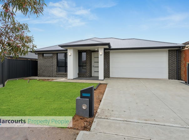 19 Alfred Avenue, Seaton, SA 5023