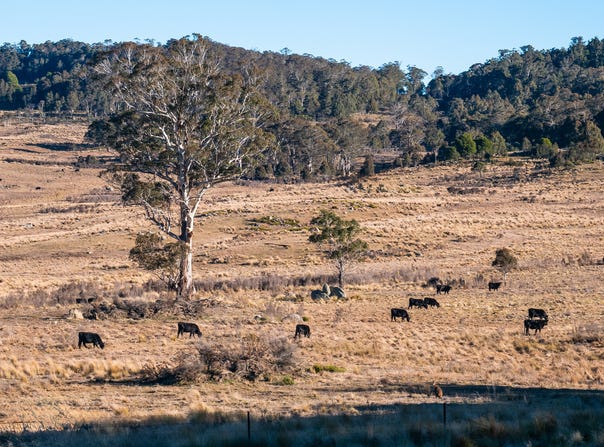 1974 Tuross Road, Kybeyan, NSW 2631