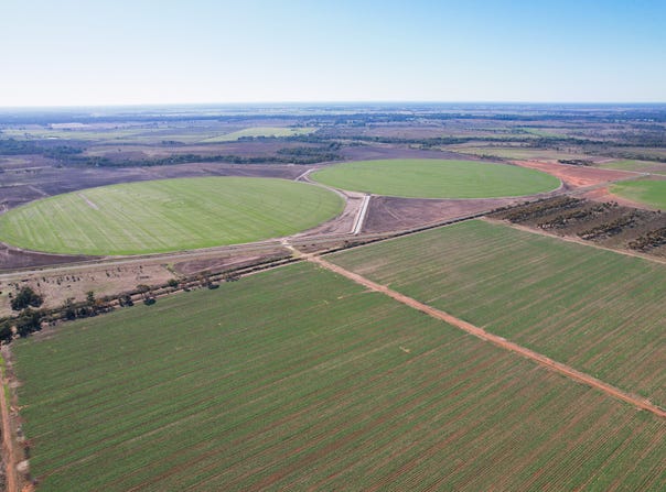 _ Tutchewop Hill, Kelly Ash, Kelly's, Berkshire & Hawkings, Lake Boga, Vic 3584