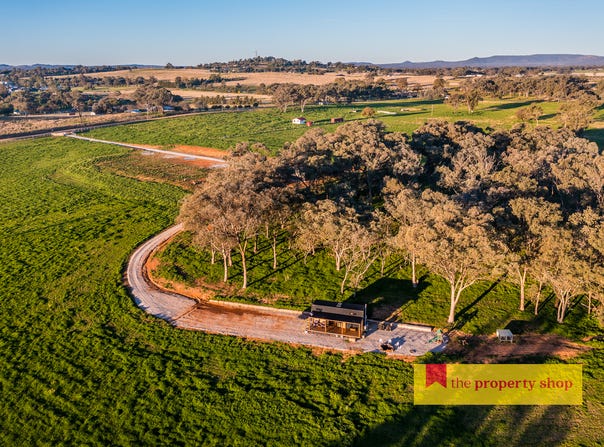 47 Adams Lead Road, Gulgong, NSW 2852