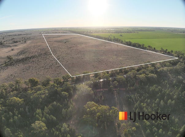 397 Craigie Lea Lane, Narromine, NSW 2821