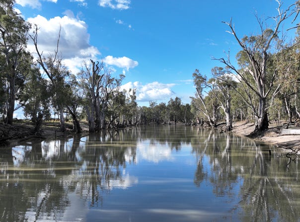 Cumnock Park Brassi Road, Deniliquin, NSW 2710