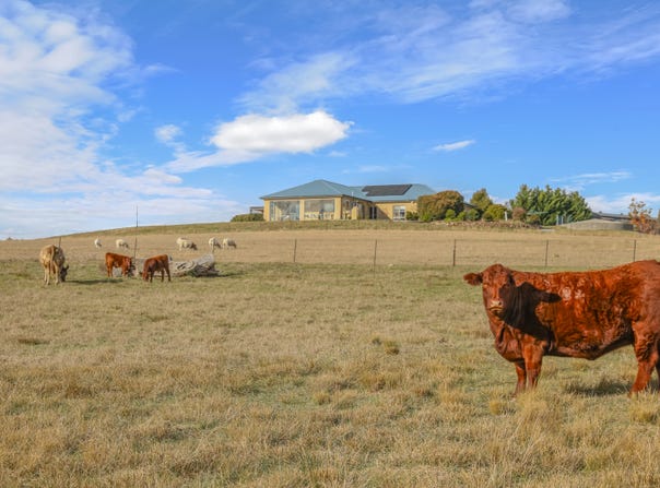 1525 Trunkey Road, Georges Plains, NSW 2795