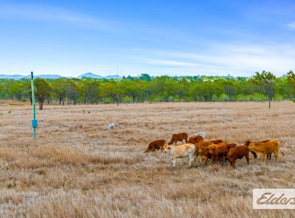 53347A Burnett Highway, Bouldercombe, Qld 4702
