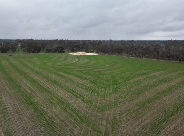 Lot 423, Gordon Street, Broomehill Village, WA 6318