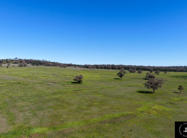 3449 Wyuna Road, Mullaley, NSW 2379