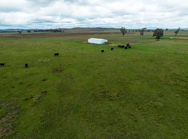 1706 Braidwood Road, Tarago, NSW 2580