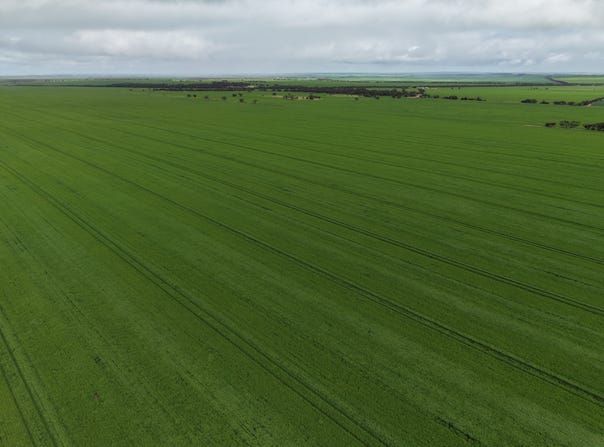 Sec 545 & Sec 554 Wayside Road, Kainton, SA 5552