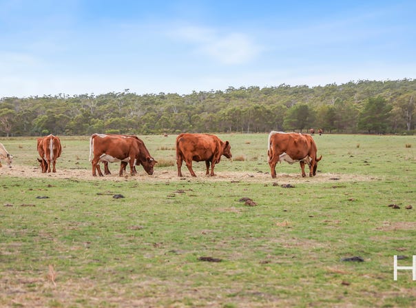 93 Douglas Road, Lefroy, Tas 7252