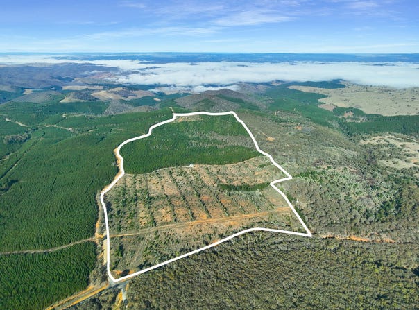 3653 Arkstone Road, Burraga, NSW 2795