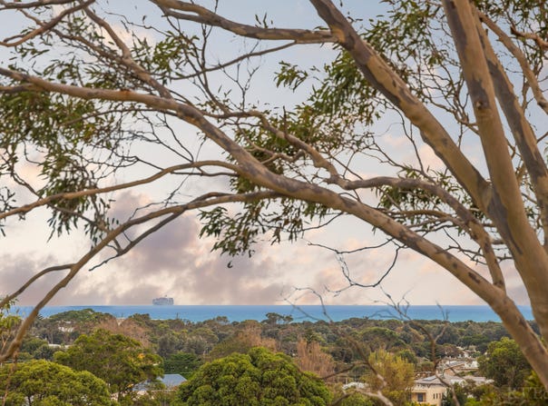 8B Driftwood Street, Ocean Grove, Vic 3226