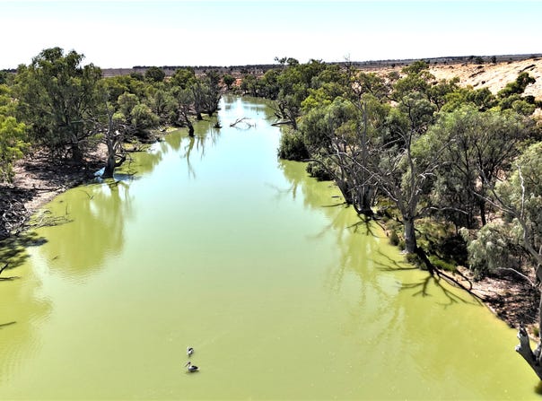 High Darling Road, Wentworth, NSW 2648
