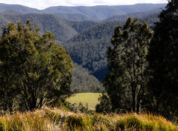 214 Eaglehawk Trail, Yarrowitch, NSW 2354