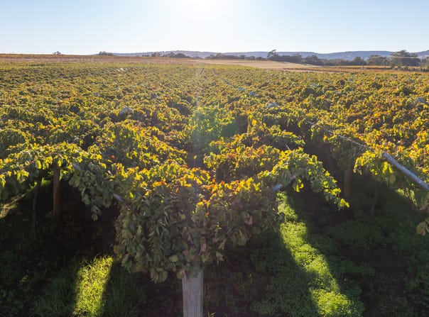 Lot 131, West Swan Road, Belhus, WA 6069