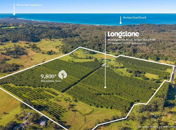 80 Midgen Flat Road, Broken Head, NSW 2481