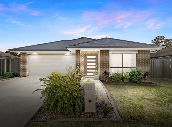 12 Birmingham Circuit, Bellbird, NSW 2325