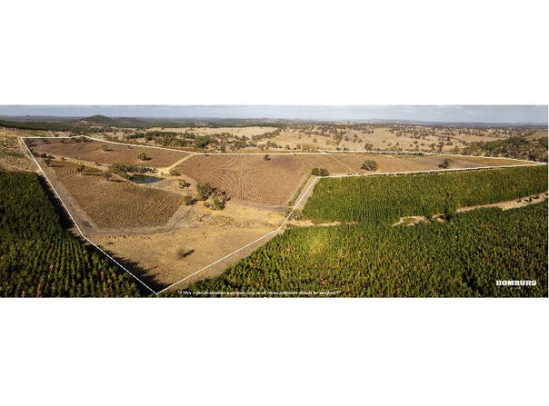 453 Springton Road, Pewsey Vale, SA 5351