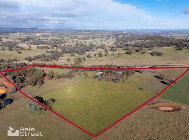 1161 Amaroo Road, Borenore, NSW 2800