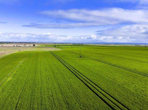 2209 Langhorne Creek Road, Langhorne Creek, SA 5255