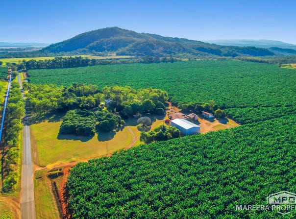 1597 Chewko Road, Walkamin, Qld 4872