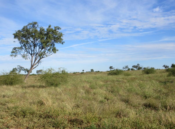 715 Royston Lane, Longreach, Qld 4730