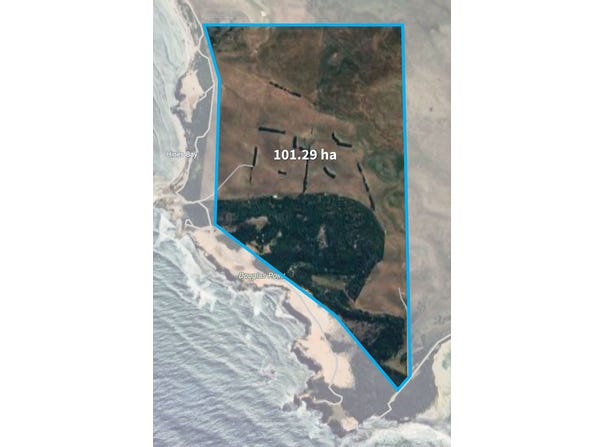 802 Cape Douglas Road, Cape Douglas, SA 5291