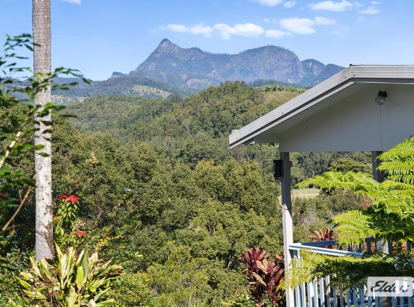 1678 Numinbah Road, Numinbah, NSW 2484