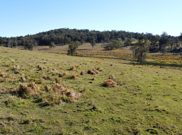 233 Sextonville Road, Doubtful Creek, NSW 2470