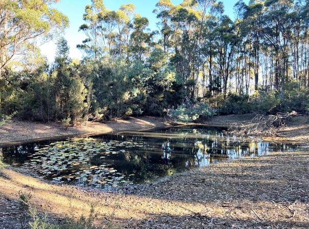 2204 East Tamar Highway, Mount Direction, Tas 7252