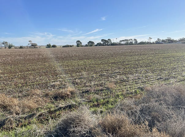 Lot 405 North West Terrace, Warnertown, SA 5540