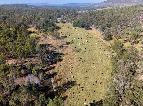 43 & 50 Kaliwa Road, Mingo, Qld 4625