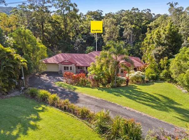 49 Birdlife Court, Nerang, Qld 4211