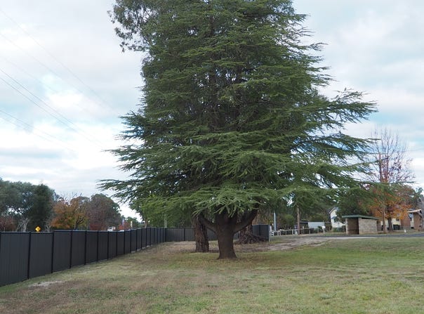23 Inverell Road, Warialda, NSW 2402